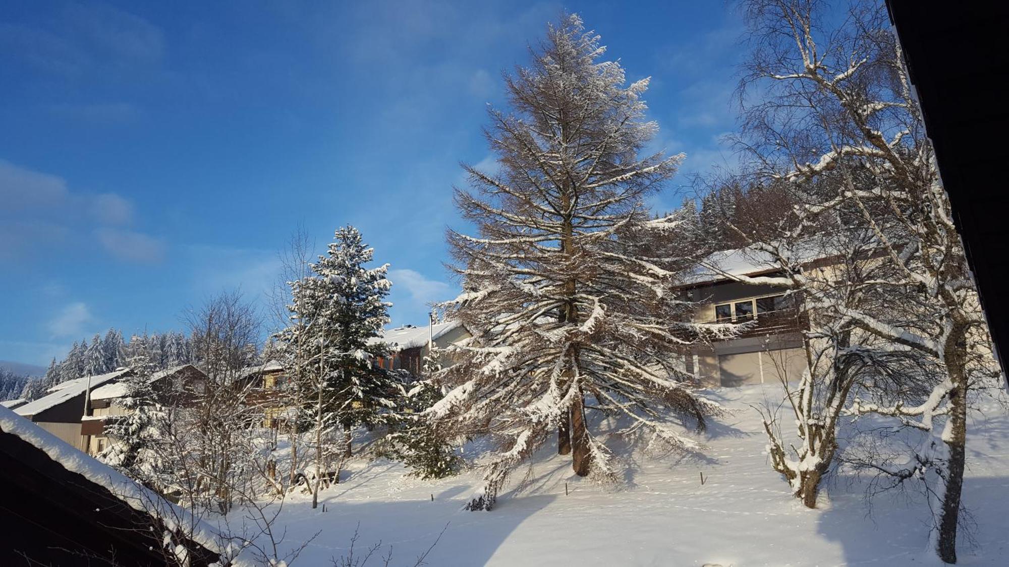 Ferienhaus Lucia, App.11 Schönwalde Екстериор снимка
